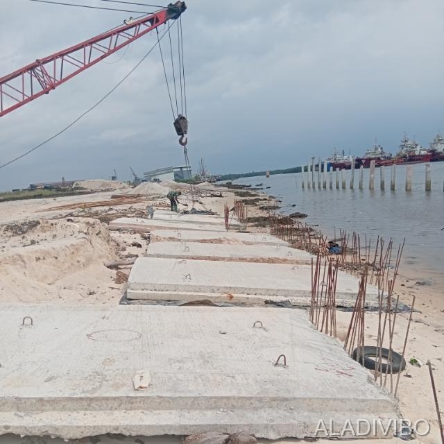 Shore Piling